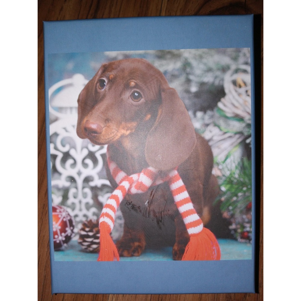 Perfectly Puzzling 100 Piece Christmas Dog Jigsaw Puzzle